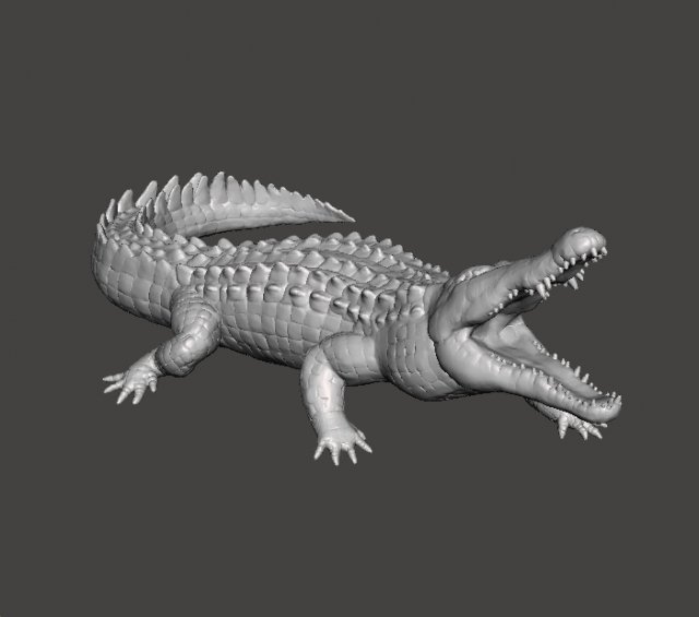 CROCODILE REALISTIC FIGURE MODEL ANIMAL CREATURE WILDLIFE DND AND RPG Modello di stampa 3D .c4d .max .obj .3ds .fbx .stl .blend
