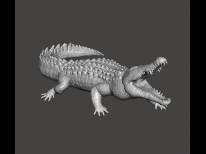 CROCODILE REALISTIC FIGURE MODEL ANIMAL CREATURE WILDLIFE DND AND RPG 3D Print Model