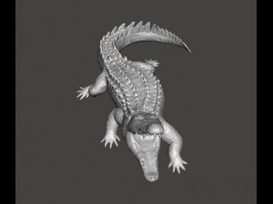 CROCODILE REALISTIC FIGURE MODEL ANIMAL CREATURE WILDLIFE DND AND RPG Modello di stampa 3D