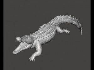 CROCODILE REALISTIC FIGURE MODEL ANIMAL CREATURE WILDLIFE DND AND RPG Modello di stampa 3D