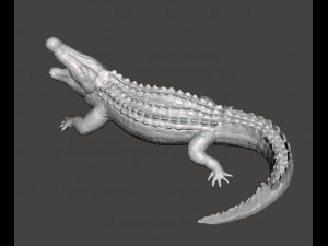CROCODILE REALISTIC FIGURE MODEL ANIMAL CREATURE WILDLIFE DND AND RPG Modello di stampa 3D