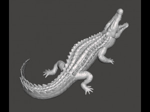 CROCODILE REALISTIC FIGURE MODEL ANIMAL CREATURE WILDLIFE DND AND RPG Modello di stampa 3D