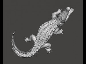 CROCODILE REALISTIC FIGURE MODEL ANIMAL CREATURE WILDLIFE DND AND RPG Modello di stampa 3D