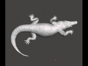 CROCODILE REALISTIC FIGURE MODEL ANIMAL CREATURE WILDLIFE DND AND RPG Modello di stampa 3D