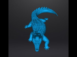 CROCODILE REALISTIC FIGURE MODEL ANIMAL CREATURE WILDLIFE DND AND RPG Modello di stampa 3D