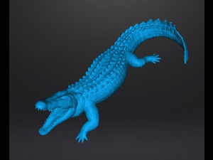 CROCODILE REALISTIC FIGURE MODEL ANIMAL CREATURE WILDLIFE DND AND RPG Modello di stampa 3D