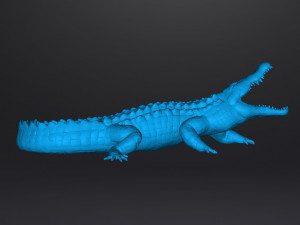 CROCODILE REALISTIC FIGURE MODEL ANIMAL CREATURE WILDLIFE DND AND RPG Modello di stampa 3D