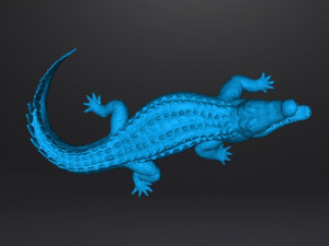 CROCODILE REALISTIC FIGURE MODEL ANIMAL CREATURE WILDLIFE DND AND RPG Modello di stampa 3D