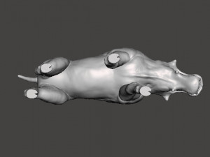 HELLPIG REALISTIC FIGURE MODEL ANIMAL CREATURE WILDLIFE RPG 3D प्रिंट मॉडल