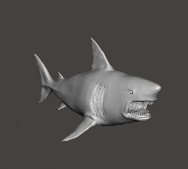 WHITE SHARK REALISTIC FIGURE MODEL ANIMAL CREATURE WILDLIFE DND AND RPG 3Dプリントモデル .c4d .max .obj .3ds .fbx .stl .blend 