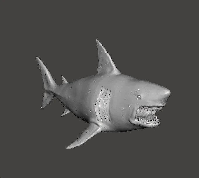 WHITE SHARK REALISTIC FIGURE MODEL ANIMAL CREATURE WILDLIFE DND AND RPG 3D Print Model .c4d .max .obj .3ds .fbx .stl .blend 