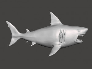 WHITE SHARK REALISTIC FIGURE MODEL ANIMAL CREATURE WILDLIFE DND AND RPG 3Dプリントモデル
