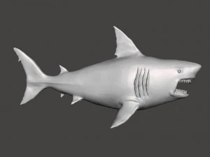 WHITE SHARK REALISTIC FIGURE MODEL ANIMAL CREATURE WILDLIFE DND AND RPG 3D Print Model