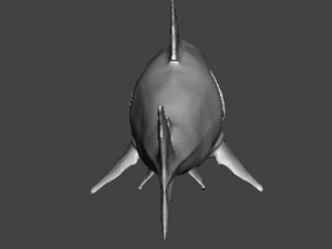 WHITE SHARK REALISTIC FIGURE MODEL ANIMAL CREATURE WILDLIFE DND AND RPG 3Dプリントモデル