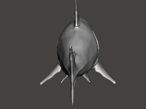 WHITE SHARK REALISTIC FIGURE MODEL ANIMAL CREATURE WILDLIFE DND AND RPG 3D Print Model