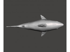 WHITE SHARK REALISTIC FIGURE MODEL ANIMAL CREATURE WILDLIFE DND AND RPG 3Dプリントモデル