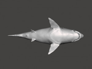 WHITE SHARK REALISTIC FIGURE MODEL ANIMAL CREATURE WILDLIFE DND AND RPG 3Dプリントモデル