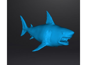 WHITE SHARK REALISTIC FIGURE MODEL ANIMAL CREATURE WILDLIFE DND AND RPG 3Dプリントモデル