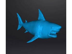 WHITE SHARK REALISTIC FIGURE MODEL ANIMAL CREATURE WILDLIFE DND AND RPG 3D Print Model