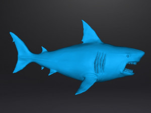 WHITE SHARK REALISTIC FIGURE MODEL ANIMAL CREATURE WILDLIFE DND AND RPG 3Dプリントモデル