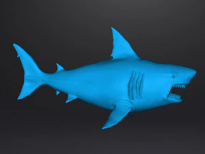 WHITE SHARK REALISTIC FIGURE MODEL ANIMAL CREATURE WILDLIFE DND AND RPG 3D Print Model