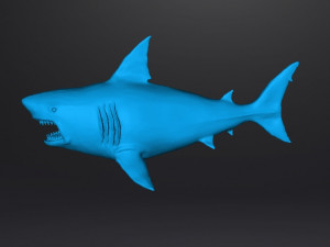 WHITE SHARK REALISTIC FIGURE MODEL ANIMAL CREATURE WILDLIFE DND AND RPG 3Dプリントモデル