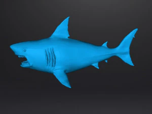 WHITE SHARK REALISTIC FIGURE MODEL ANIMAL CREATURE WILDLIFE DND AND RPG 3D Print Model