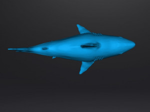 WHITE SHARK REALISTIC FIGURE MODEL ANIMAL CREATURE WILDLIFE DND AND RPG 3Dプリントモデル