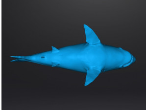 WHITE SHARK REALISTIC FIGURE MODEL ANIMAL CREATURE WILDLIFE DND AND RPG 3Dプリントモデル