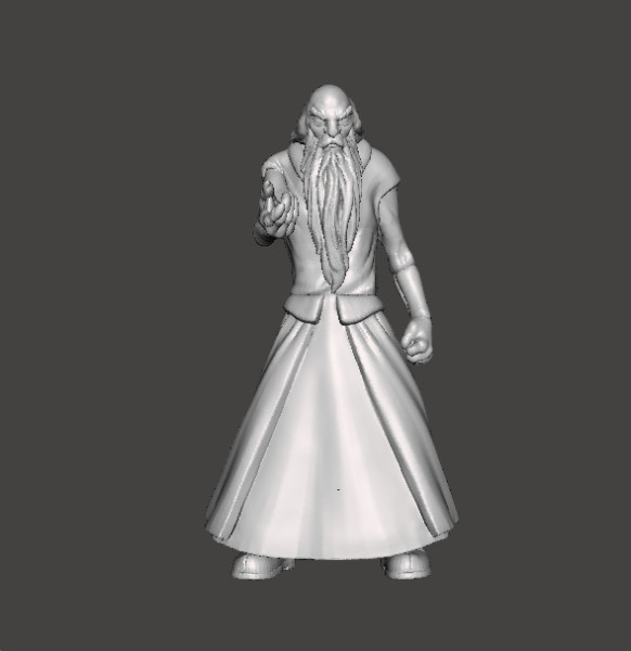 WIZARDS BLACKWOLF MINIATURE MODEL FANTASY DND RPG 3D-Druckmodell .c4d .max .obj .3ds .fbx .stl .blend