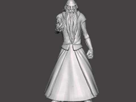 WIZARDS BLACKWOLF MINIATURE MODEL FANTASY DND RPG 3D Print Model