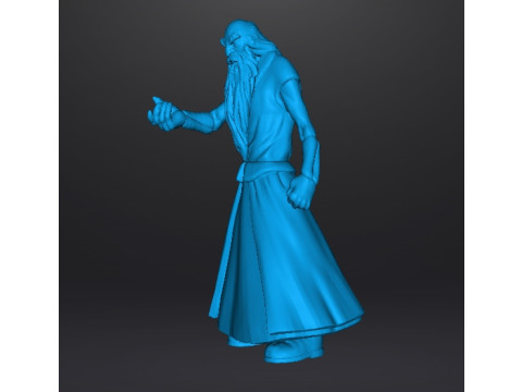WIZARDS BLACKWOLF MINIATURE MODEL FANTASY DND RPG 3D-Druckmodell