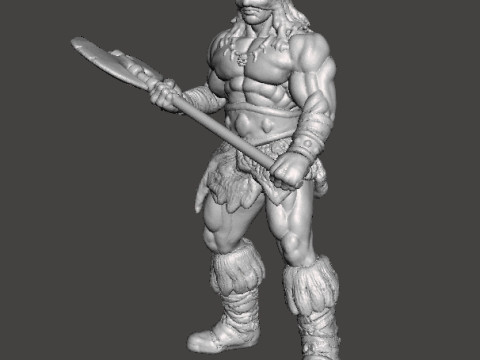 DARKWOLF ART MINIATURE MODEL FIGURE FOR FANTASY GAMES RPG DND 3D Принт Модель