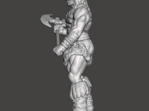 DARKWOLF ART MINIATURE MODEL FIGURE FOR FANTASY GAMES RPG DND 3D Принт Модель