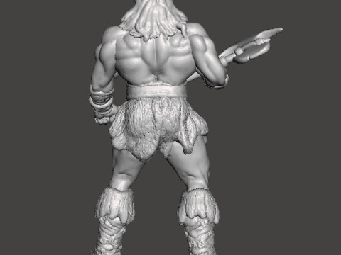 DARKWOLF ART MINIATURE MODEL FIGURE FOR FANTASY GAMES RPG DND 3D Принт Модель