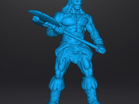 DARKWOLF ART MINIATURE MODEL FIGURE FOR FANTASY GAMES RPG DND 3D Принт Модель