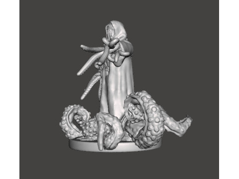 SPAWN CULTIST WITH TENTACLES MINIATURE MODEL FIGURE FOR FANTASY HORROR GAMES RPG DND 3D 打印模型