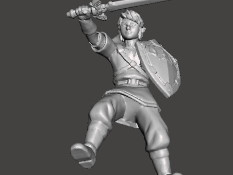 LINK SKYWARD SWORD MINIATURE MODEL FANTASY GAMES RPG DND Model Cetak 3D
