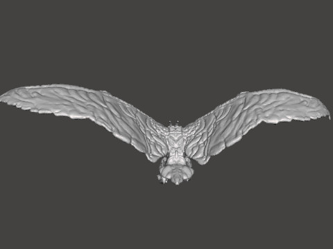 RODAN 2019 FLYING KAIJU MONSTER MINIATURE MODEL FOR FANTASY GAMES RPG DND 3D Baskı Modeli