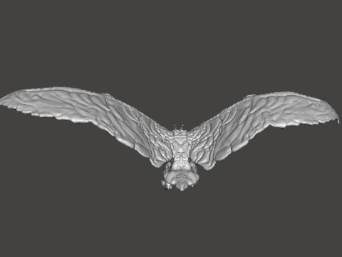 RODAN 2019 MODELO EM MINIATURA DO MONSTRO V&Ocirc;O KAIJU PARA JOGOS DE FANTASIA RPG DND Modelo de Impressão 3D