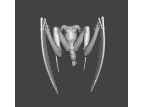 SH FEMALE NEEDLER MINIATURE MODEL HORROR FANTASY OR SCIFI GAMES RPG DND 3D Print Model