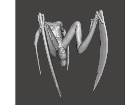 SH FEMALE NEEDLER MINIATURE MODEL HORROR FANTASY OR SCIFI GAMES RPG DND 3D Print Model