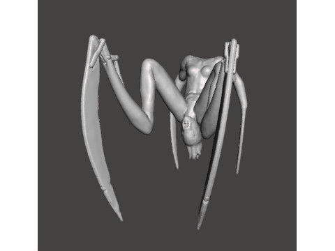 SH FEMALE NEEDLER MINIATURE MODEL HORROR FANTASY OR SCIFI GAMES RPG DND 3D Print Model