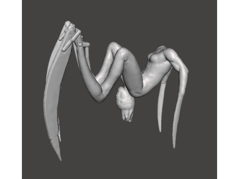 SH FEMALE NEEDLER MINIATURE MODEL HORROR FANTASY OR SCIFI GAMES RPG DND 3D Print Model