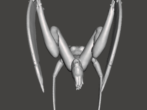SH FEMALE NEEDLER MINIATURE MODEL HORROR FANTASY OR SCIFI GAMES RPG DND 3D Print Model