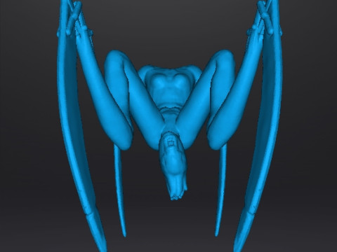 SH FEMALE NEEDLER MINIATURE MODEL HORROR FANTASY OR SCIFI GAMES RPG DND 3D Print Model