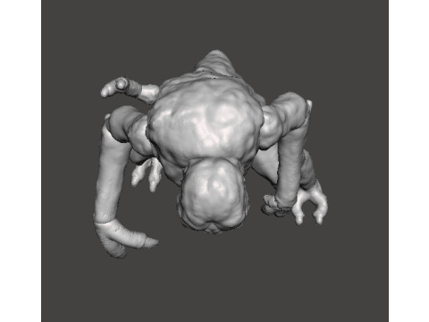 BRUNDLEFLY CLASSIC MONSTER MINIATURE MODEL HORROR OR FANTASY GAMES RPG DND 3D 打印模型