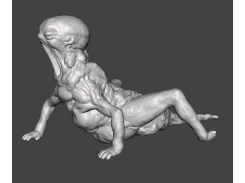 REV BABY FETUS MONSTER MINIATURE MODEL FOR HORROR OR FANTASY GAMES RPG DND 3D 프린트 모델