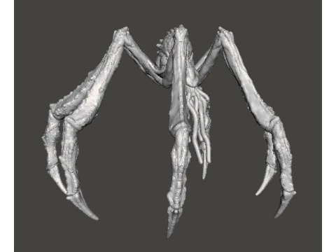 TITANUS SCYLLA KAIJU MONSTER MINIATURE MODEL FOR FANTASY GAMES RPG DND 3D Print Model
