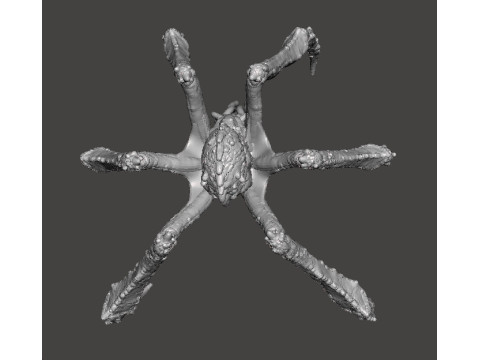 TITANUS SCYLLA KAIJU MONSTER MINIATURE MODEL FOR FANTASY GAMES RPG DND Modelo de impresión 3D
